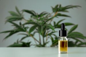 CBD oil